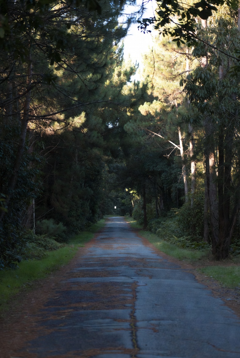 The path onward